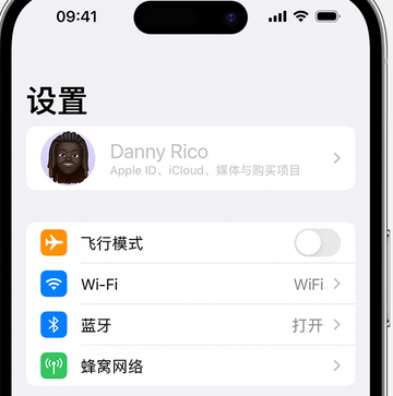 浩口镇appleID维修服务iPhone设置中Apple ID显示为灰色无法使用 