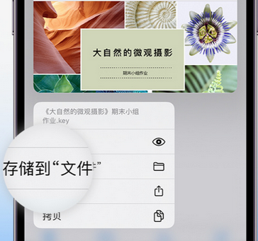 浩口镇apple维修中心分享iPhone文件应用中存储和找到下载文件