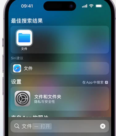 浩口镇apple维修中心分享iPhone文件应用中存储和找到下载文件 