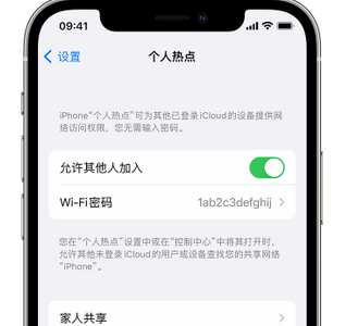 浩口镇apple服务站点分享iPhone上个人热点丢失了怎么办 