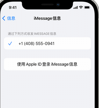 浩口镇apple维修iPhone上无法正常发送iMessage信息 