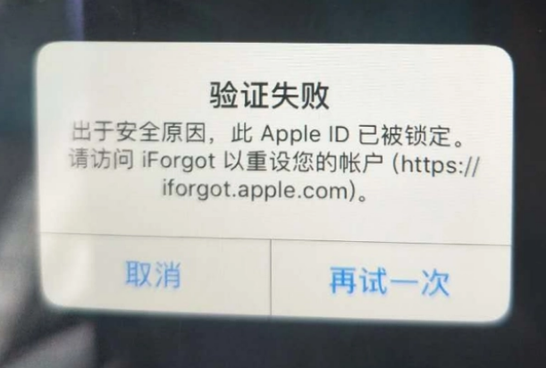 浩口镇iPhone维修分享iPhone上正常登录或使用AppleID怎么办 