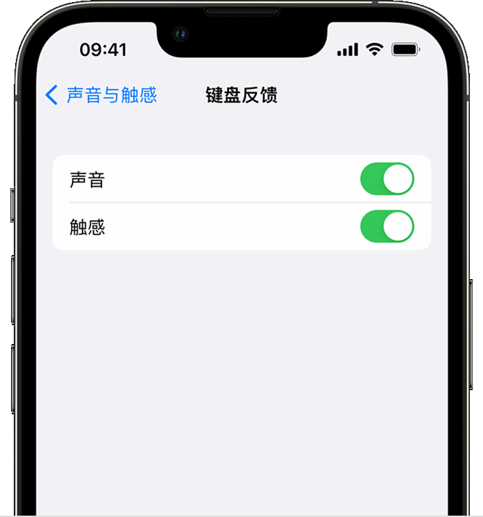 浩口镇苹果14维修店分享如何在 iPhone 14 机型中使用触感键盘 