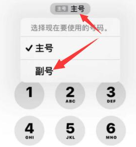 浩口镇苹果14维修店分享iPhone 14 Pro Max使用副卡打电话的方法 