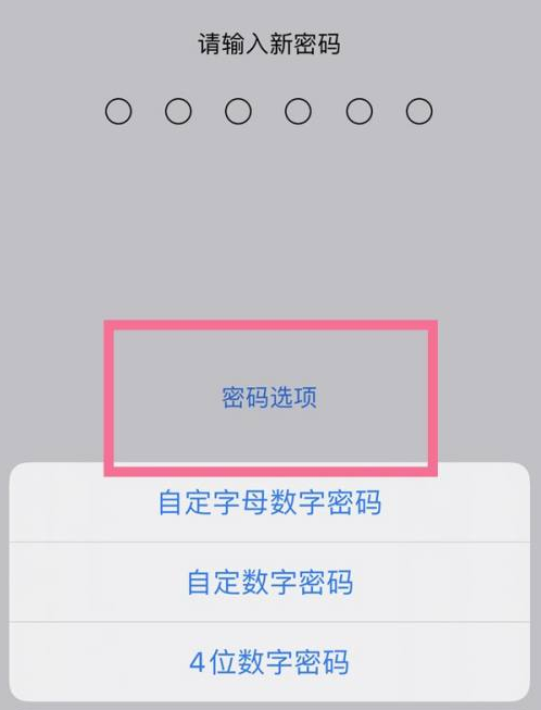 浩口镇苹果14维修分享iPhone 14plus设置密码的方法 