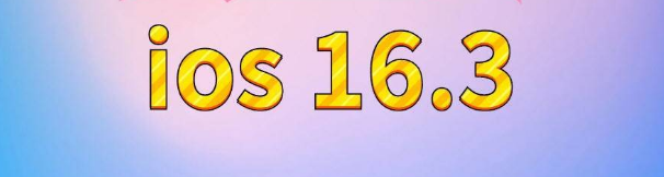 浩口镇苹果服务网点分享苹果iOS16.3升级反馈汇总 