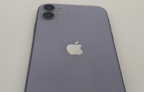 浩口镇苹果11系统维修分享iPhone11手机系统崩溃无法开机如何解决